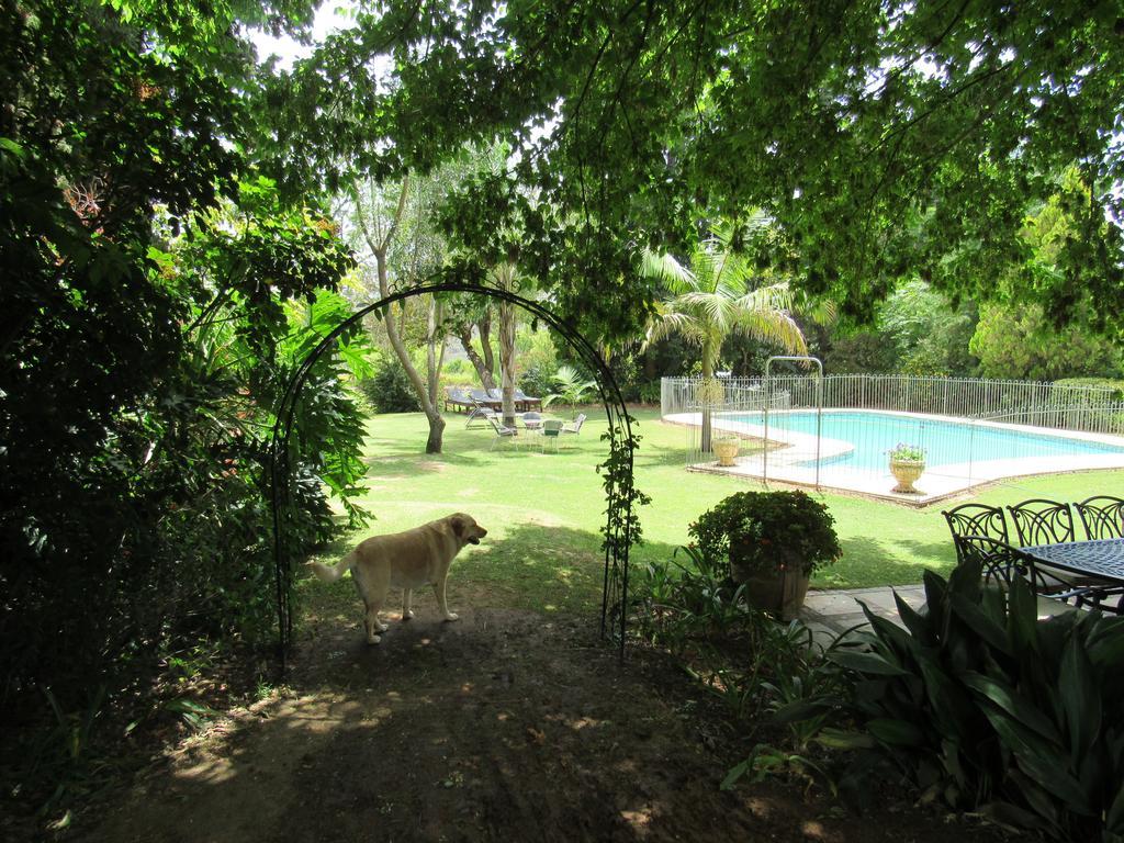 אדו Happy Lands Farmstay מראה חיצוני תמונה